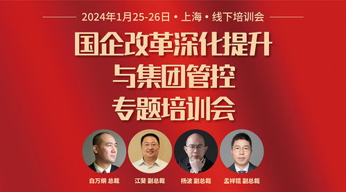 華彩咨詢 國資國企與集團類企業的定制化管理咨詢服務專家